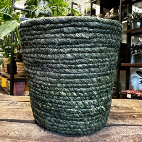 rustic natural seaweed basket bottle green large