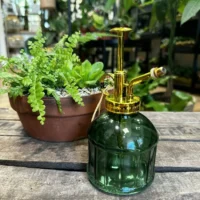 long terrarium tweezers