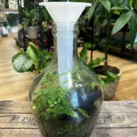 long terrarium tweezers