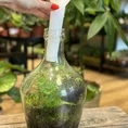 long terrarium tweezers