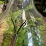 long terrarium pick up tool with claw