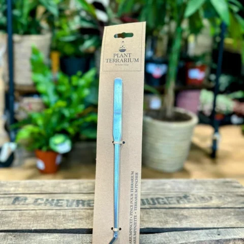 long terrarium tweezers