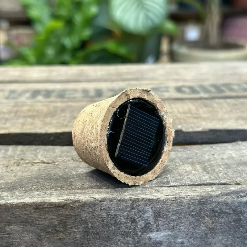 terrarium solar cork terrarium solar cork