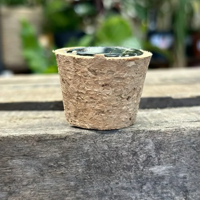 terrarium solar cork terrarium solar cork