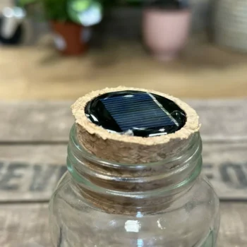 Terrarium Cork Solar Light