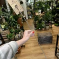 long terrarium pick up tool with claw