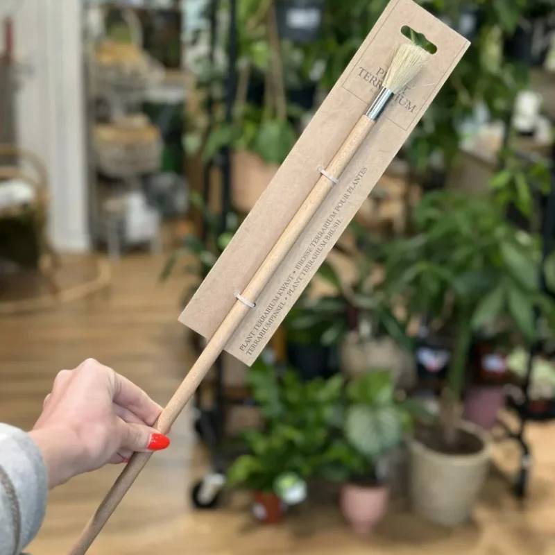 vintage terrarium container eco glass open bottle vintage terrarium container eco glass open bottle