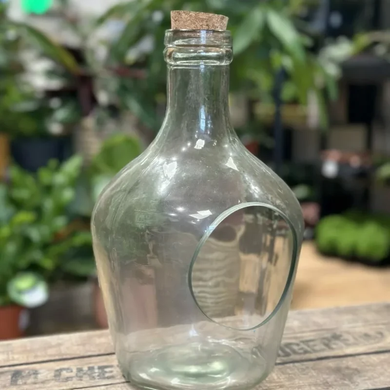 vintage terrarium container eco glass open bottle vintage terrarium container eco glass open bottle