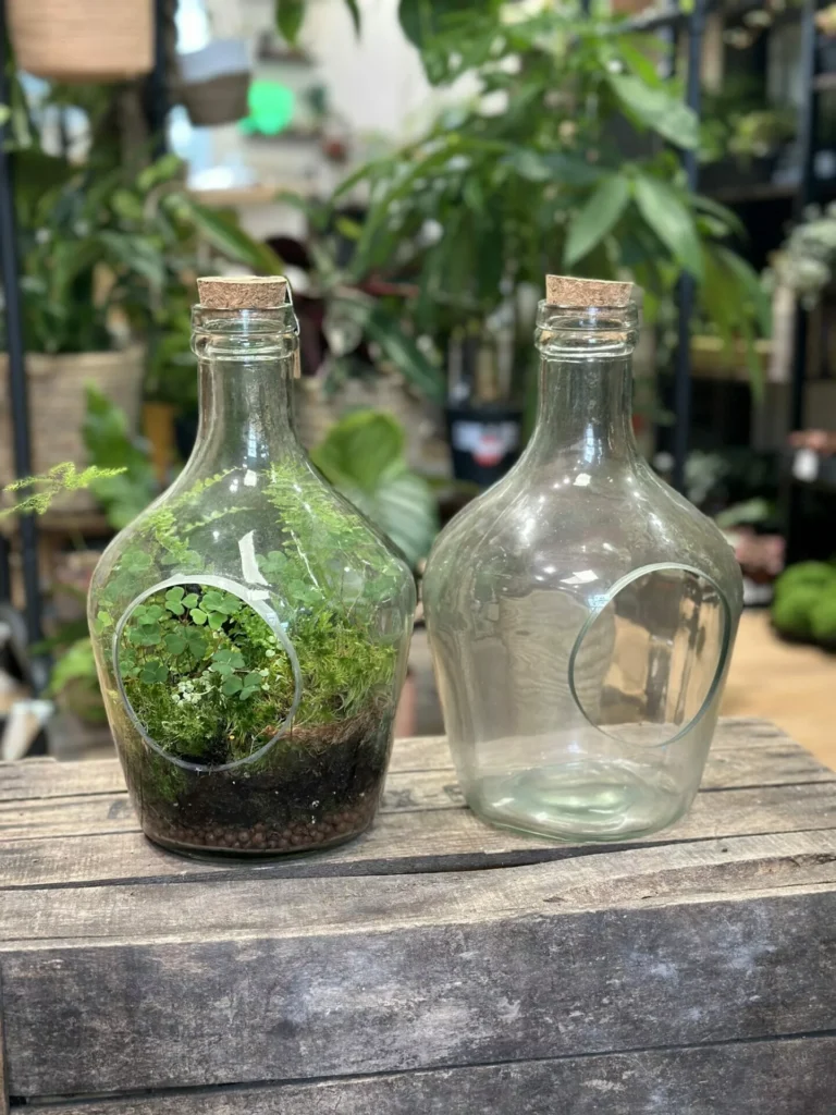 Large Vintage Terrarium Container Eco Glass Open Bottle