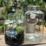 Classic Terrarium Eco Glass Container