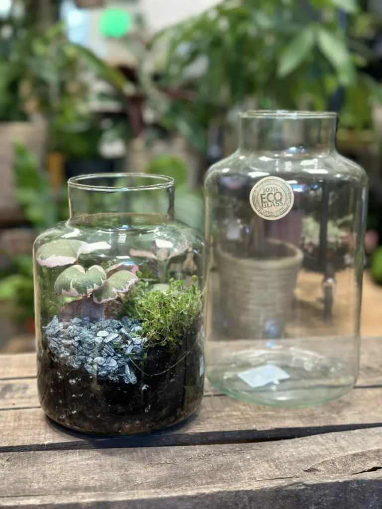 Classic Terrarium Eco Glass Container