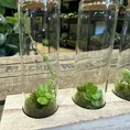 lab glass tubes wood rack with cork set