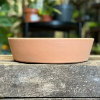Large Terracotta Bowl Planter 25cm Bowls