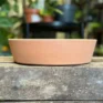 Large Terracotta Bowl Planter 25cm