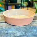terracotta bowl succulent cactus planter 17cm