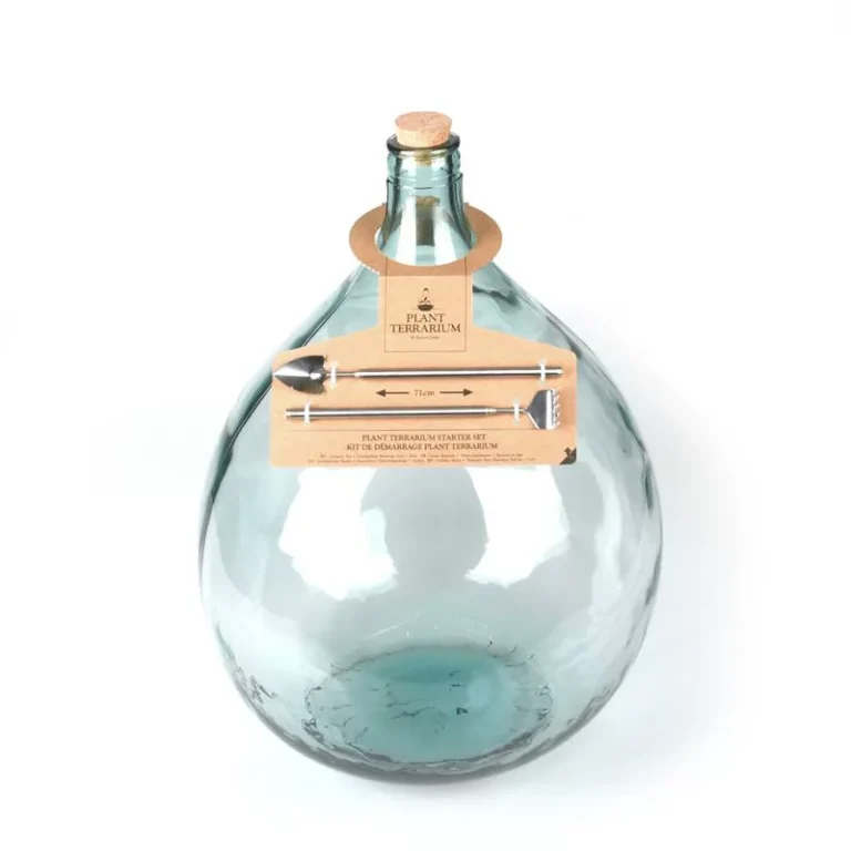 Large Bottle Vintage Style Terrarium With Tools Set