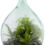 eco large closed terrarium glass container cork lid (copy)
