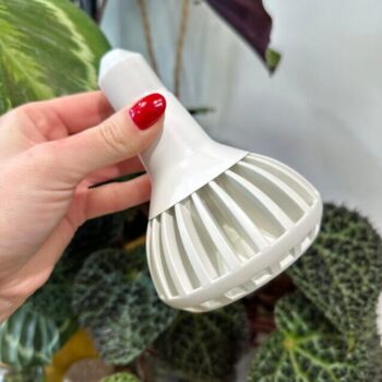 Full Spectrum White Grow Light PIANTA with E27 fitting, warm natural light for houseplants, terrariums, and variegated plants.