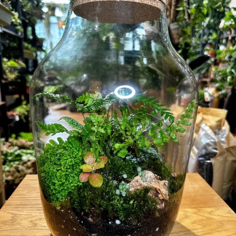 img 5642 edit img 5642 edit