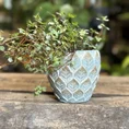 dragon scale concrete planter