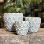 Dragon Scale Concrete Planter