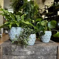 dragon scale concrete planter