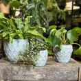 dragon scale concrete planter