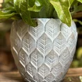 dragon scale concrete planter