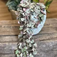 dragon scale concrete planter