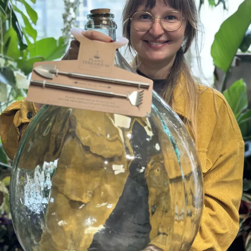 eco large closed terrarium glass container cork lid (copy) eco large closed terrarium glass container cork lid (copy)