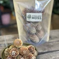 mini pine cones craft and art 100g