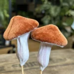 Brown Toadstool Mushrooms 5pcs Craft and Art