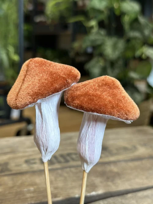 brown toadstool mushrooms 5pcs craft and art