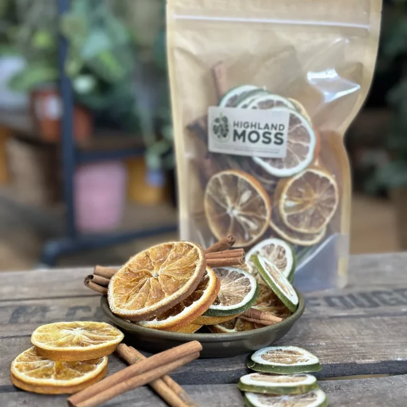 red toadstool mushrooms 24pcs terrariums craft and art (copy) red toadstool mushrooms 24pcs terrariums craft and art (copy)