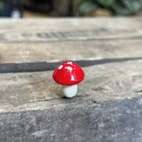 red toadstool mushrooms 24pcs terrariums craft and art