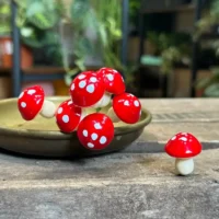 red toadstool mushrooms 24pcs terrariums craft and art