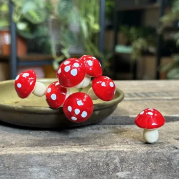 Red Toadstool Mushrooms 24pcs Terrariums Craft and Art Artwork