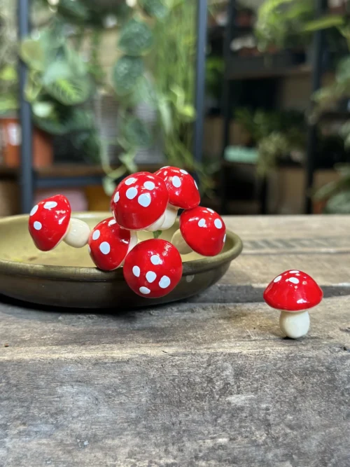 red toadstool mushrooms 24pcs terrariums craft and art