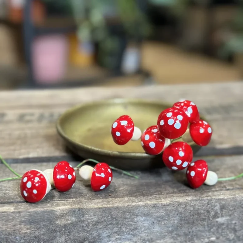 red toadstool mushrooms 24pcs terrariums craft and art red toadstool mushrooms 24pcs terrariums craft and art