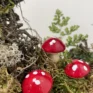 red toadstool mushrooms 24pcs terrariums craft and art