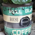 coffee arabica houseplant in ceramic retro planter 7cm