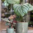 yellow glazed rustic planter (copy)