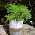 glazed brown grey planter on legs