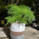 Glazed Brown Grey Planter On Legs