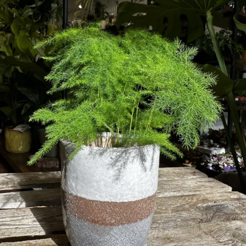 glazed brown grey planter on legs