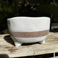 concrete bowl planter on legs
