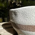 concrete bowl planter on legs