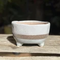 concrete bowl planter on legs
