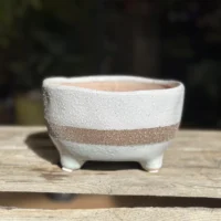 concrete bowl planter on legs
