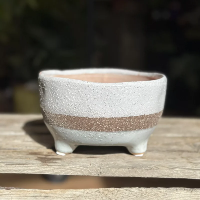 concrete bowl planter on legs concrete bowl planter on legs